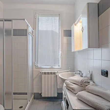 Camelie - Mazzini 2 *