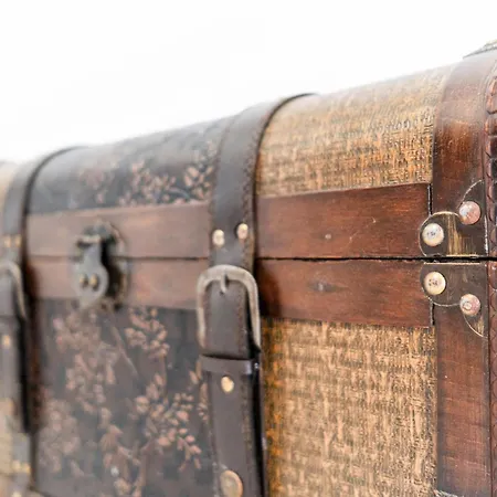 Camelie - Mazzini 2 *